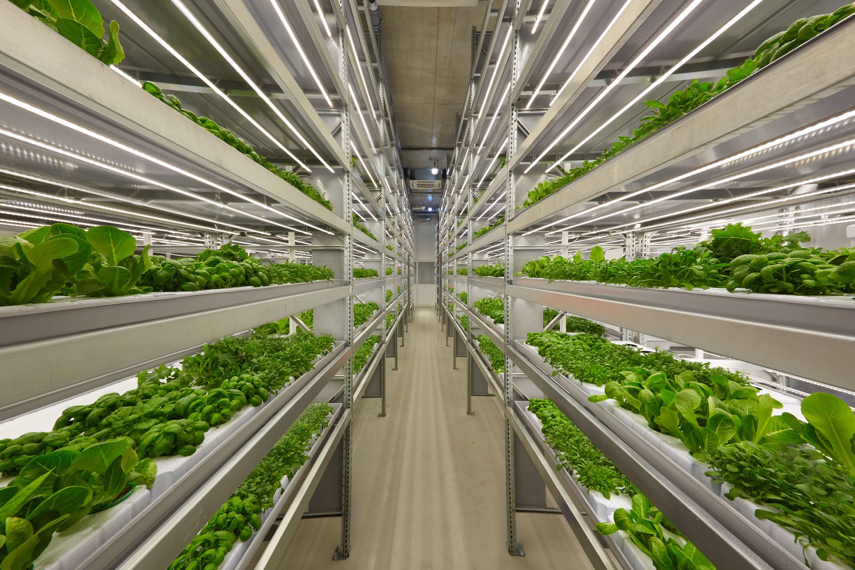 Vertical farm Hydroponics, Finland (iFarm.fi)